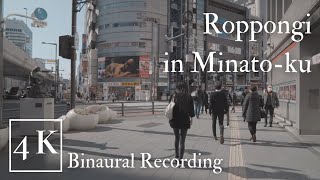 【4K】Wandering in Minato-ku【Binaural】｜Tokyo, Japan