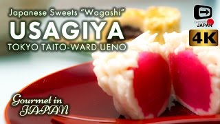 4K Gourmet in Japan | Usagiya Tokyo Ueono | Japanese Sweets \