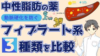 【動脈硬化を予防】中性脂肪をさげる3種の薬！フィブラート系の効果と使い分け【薬剤師が解説】