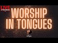 🔴 WORSHIP SPEAKING IN TONGUES  / SPONTANEOUS / PROPHETIC MUSIC
