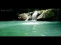 Jamaica favourite tourist attraction - Blue Hole In Ocho Rios