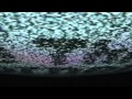VOTIIV - Stay Away (Video)