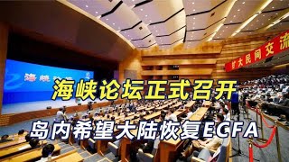 民进党反对无效，7000名台胞抵达厦门，希望大陆恢复ECFA优惠政策