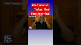 Tucker laughs at Mike Tyson’s pet tiger stories #shorts