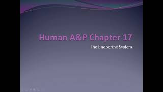 EMS 3163: Chapter 17 Video - Endocrine System