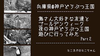 兵庫県@神戸どうぶつ王国 / 続・鳥さん好きな友達と行ってみた