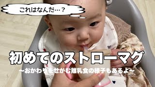 【生後6ヶ月】初めてストローマグに挑戦した結果/初めてのごぼうを食べて困惑する赤ちゃん