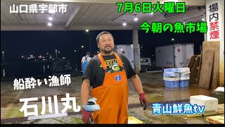 【魚市場】【また時化💦】【特大天然タイ】今朝の魚市場7月6日火曜日の水揚げ状況