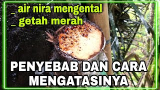 cara mengatasi air nira mengental