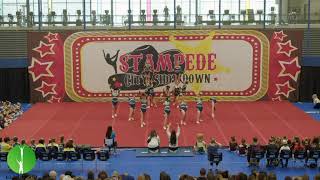 Peak Elite Cheerleading U18 Level 2 Prep