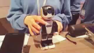 RoBoHon :  it's The most interesting mobil phone in the world