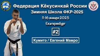 Зимняя Школа Федерации Кёкусинкай России-2025 / Кумитэ / Евгений Мамро / Обзор (2)