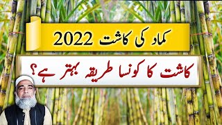 Better method of Cultivation for Sugarcane | Crop Reformer