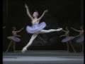 1989 Bolshoi Ballet Sleeping Beauty Prolog Lilac Fairy Variation Nina Speranskaya