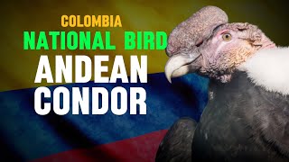 What is the national bird of Colombia?