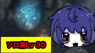 【魔法の覚醒】ソロ森Lv30【魔法書Lv53】声無し