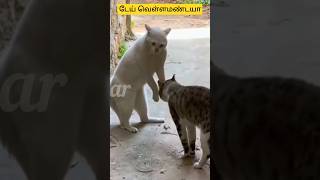 😂🐈டேய் நா யார் தெரியுமா?🤣🐕#viral #trending #comedy #funny