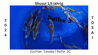 Shusui 2024 Reihe3C Tanaka