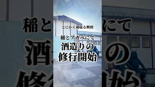 稲とアガベでの修行開始！ #梅ボーイズ #梅酒 #移住 #梅農家 #稲とアガベ #クラフトサケ #日本酒 #秋田 #男鹿 #ナマハゲ #修行 #酒蔵 #ウメサケ