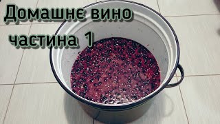 Домашнє виготовлення вина, частина перша Сорт винограду МУСКАТ БЛАУ 🍇🍇