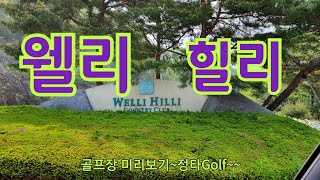 #36,⛳️웰리힐리,#골프장미리가보기,#정타골프