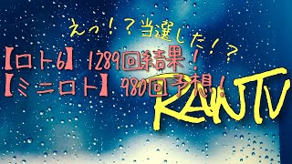 【ロト6】1289回結果【ミニロト】980回予想