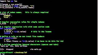 Video Guide - PA2 Lexer - Python