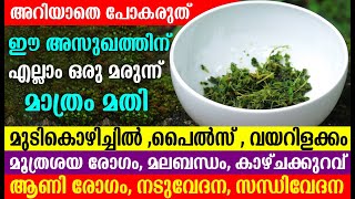 ഇത് ഒന്ന് അറിഞ്ഞു വച്ചോളു നാളെ നിങ്ങൾക്ക്  ഉപകാരപ്പെടും ഉറപ്പ് | Lillys Natural Tips