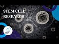 BioSciLites - Stem Cell Research