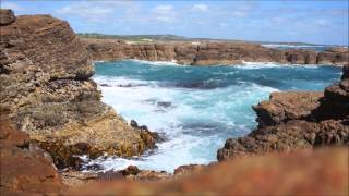 Coast and Ciarnin Kellys - The Oystercatchers