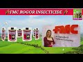 रोगर कीटनाशक fmc rogor insecticide dimethoate 30%ec rogor insecticide price dose work result