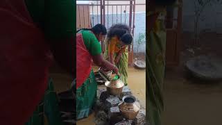 நம்ம வீட்டு பொங்கல் celebration😍#trending #travel #shorts #short #shortvideo #viralvideo #ytshorts