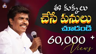 ఈ కుక్కలు చేసిన పనులు చూడండి || SHORT MESSAGE BY Br.MATHEWS ||#KRUPAMINISTRIES GUNTUR ||