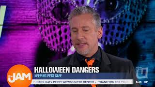 Pets & Halloween - The Jam WCIU TV (10/26/2017)