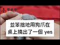 結婚十年我拿嫁妝供丈夫創業，公司上市當天他遞來離婚協議，嫌我是黃臉婆靠他白養十年，離婚他會施捨我500萬做補償，我笑着籤字反手撥出一通電話，下一秒銀行傳來消息他驚呆了