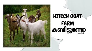 LOW BUDGET HI-TECH GOAT FARM PART 2| കുറഞ്ഞ ചിലവിൽ ഒരു അടിപൊളി ആട്ടിൻ കൂട് | FARM CREATOR