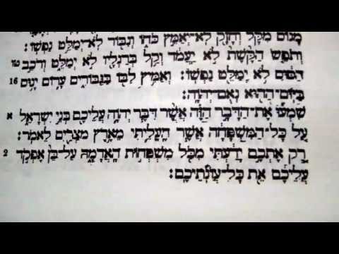 Haftorah Haftarah Reading Vayeshev Rabbi Weisblum הפטרת וישב הרב ...