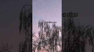 Maybe this is how you stay- Santravita ( Official Lyric video)