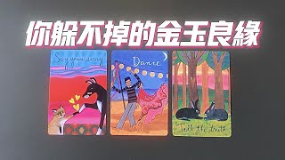 你躲不掉的金玉良緣，屬于你的正緣來了！身高/相貌/星座/性格等，如何寵你愛你？  |曖昧|愛情|感情|桃花|塔羅占卜|