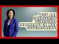 Why Are JavaScript Functions Important in Web Development? | JavaScript Toolkit News