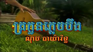 ត្រកួនភ្លេចបឹង (ណុប បាយ៉ារិទ្ធ), Official MV, RHM CD Vol 075