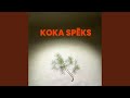 Koka Spēks