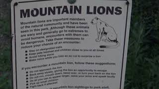 3/12 a warning sign for mountain lions