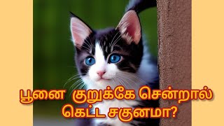 பூனை குறுக்கே சென்றால் கெட்ட சாகுனமா?....