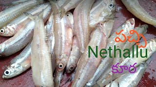 Pachi Nethallu Curry / Tiny Fish Curry / Tasty Fish Curry Recipe