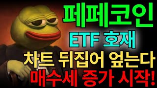 [페페 코인] ETF 대박인데요?... 고래들. 차트 뒤집어 엎을라고 작정 했나 봅니다