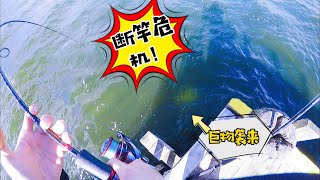 塔斯马尼亚沉底钓魔鬼鱼(Tasmania bottom fishing)