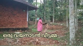 എന്റെ നാട്ടിൻപുറവും നാടൻ ജീവിതവും |Day in my life| Village lifestyle | Bathery kitchen 🥰