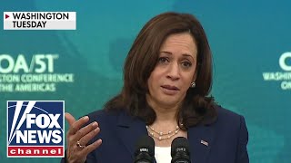 'The Five' react to VP Harris blaming border crisis on climate change