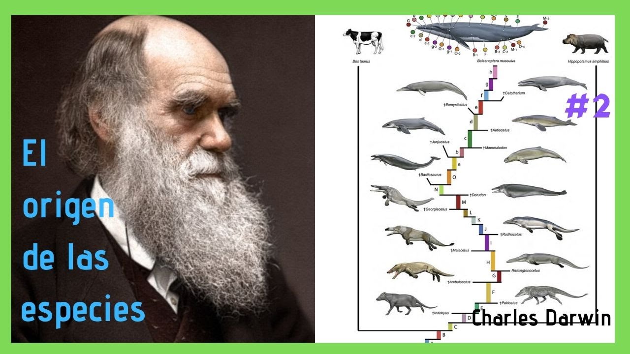 Charles Darwin: EL ORIGEN DE LAS ESPECIES #2 - YouTube